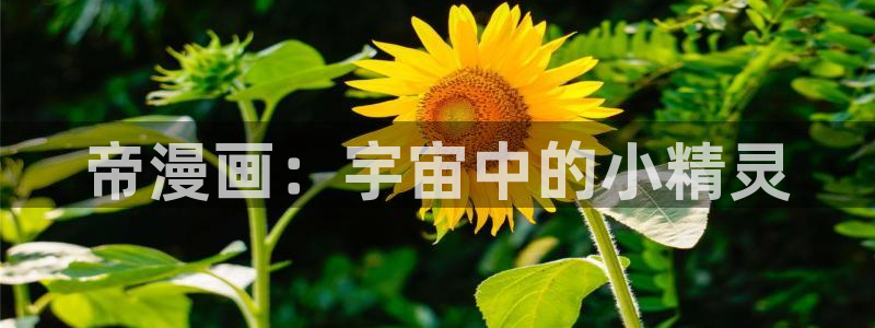 好看的韩漫漫画免费阅读在线阅读：帝漫画：宇宙中的小精灵