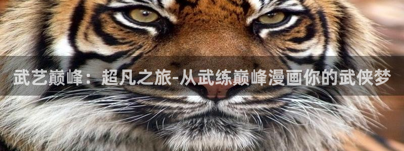 韩漫漫画免费漫画在线：武艺巅峰：超凡之旅-从武练巅峰漫画你的武侠梦