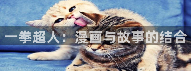 韩漫漫画画免费画漫画大全：一拳超人：漫画与故事的结合