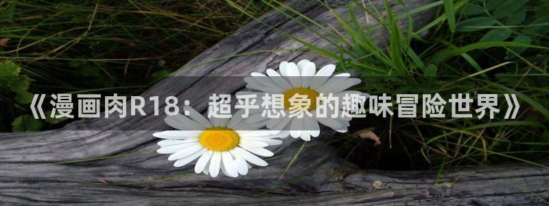韩漫漫画app：《漫画肉R18：超乎想象的趣味冒险世界》